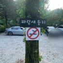 아버지의숲 인생두번째 캠핑 텐트만 들고 가다.(파랑새둥지8)
