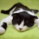 서울숲정신건강의학과의원 이미지