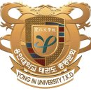 용인대청룡태권도전문도장 이미지