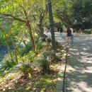 서귀동-10 이미지