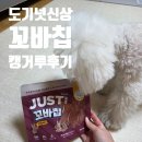 까까먹개 | 강아지 캥거루 간식 후기 🐶 도기넛 꼬바칩 기호성 솔직리뷰