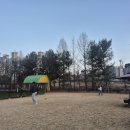 가평카라반캠핑농원 이미지