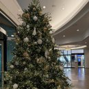 주주익스프레스 | [부산] 부산 해운대 한화리조트 해운대점 디럭스 원룸형 숙소 내돈내산 후기 + 창밖 뷰 동영상 첨부