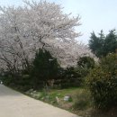 현산중학교 이미지