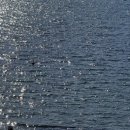 순례자의섬 게스트하우스 1동 | [2025] 거제 2일차 | 가을 거제 | 거제 느좋카페 외도설서리 | 벨버디어 도보 5분 거리 조개구이집 포구...