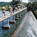 수원-1967 이미지