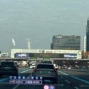 강아지 테마파크 | 강원도 [강아지숲] 테마파크 솔직 리뷰