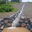 동부 비상-10호 이미지