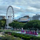 10호어린이 살랑살랑 어린이공원 | 호주 브리즈번 여행 혼자 코스 일정 추천 근교 자유여행 무게라 호수 은하수 낙타 후기