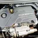 대우카포스 이미지