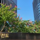 강남문화사