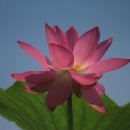 농업테마파크 이미지