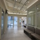 분당파크뷰동물병원 | 분당안과동물병원 고양이 털 장난감 눈병 치료 후기