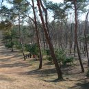 다인 추어탕 이미지