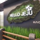 다래향 | [제주도] 다래향애월점 내돈내산 방문 후기