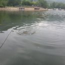 주봉낚시터 이미지