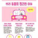 하남펫택시 이미지