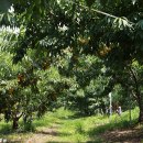 학산농장 이미지