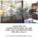 GS25 일곡오아시스점 | [GS홈쇼핑]새하얀 설경 순백의 북해도