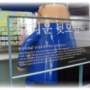 김유정역 닭갈비 이미지