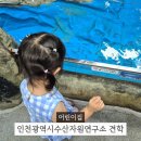 인천광역시 수산자원연구소 갯벌체험 어린이집 체험학습 후기