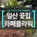 라페플라워(Lafee Flower)