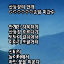 산등성의 안개 이미지