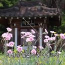 서목