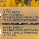 만냥 노래연습장 이미지