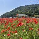 북천생태공원 이미지