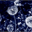 축동농장 이미지