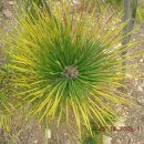 호피농장 이미지