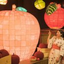 비고리조트 19 이미지