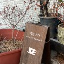죽천277 | [포항] 오션뷰 카페 “죽천277” 내돈내산 솔직후기