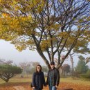 DMZ썬인팜디엠지 | 연천여행 DMZ 로컬투어2. YC글램핑과 구석기바비큐체험