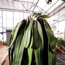 A WORLD TOUR WITH CM 이미지