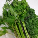 농부의꿈 이미지