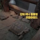 (주)세명랜드 | 강화 미니동물원 - 프렌쥬랜드 솔직후기 (갤러리 못들어감 이슈)