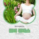대구수성구정신건강복지센터 | [공지] 대구 수성구 산모 태교 클래스 후기 ㅣ 치즈유 감성 플라워 원예 프로그램