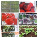 우리들 밥상 이미지