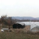 아리수로 25길 이미지