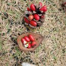 예소담유치원 이미지