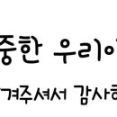 용인대 한라태권도 이미지