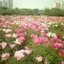 한강시민공원(자연학습장) 이미지