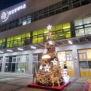 가평잣고을전통시장 이미지