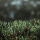 예쁨주의쁨의원 이미지