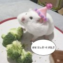 스테이어플로트 | 봄여름걀 🍀