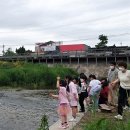 충주 조동천 충주신문