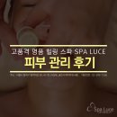 스파루체 이미지