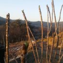 흥부마을 이미지